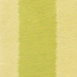 Bagan Absinthe 62651 by Schumacher Fabric