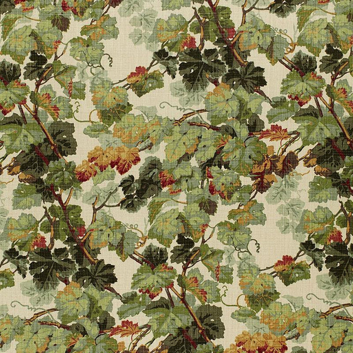 Arbor Vine Document 1212012 by Schumacher Fabric Classic Prints 13.5" - Fabric Carolina -