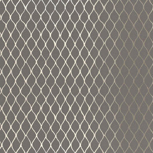 Valencia Graphite 5005913 by Schumacher Wallpaper