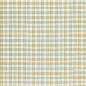 Ingrid Silk Check Seaspray 3453003 by Schumacher Fabric