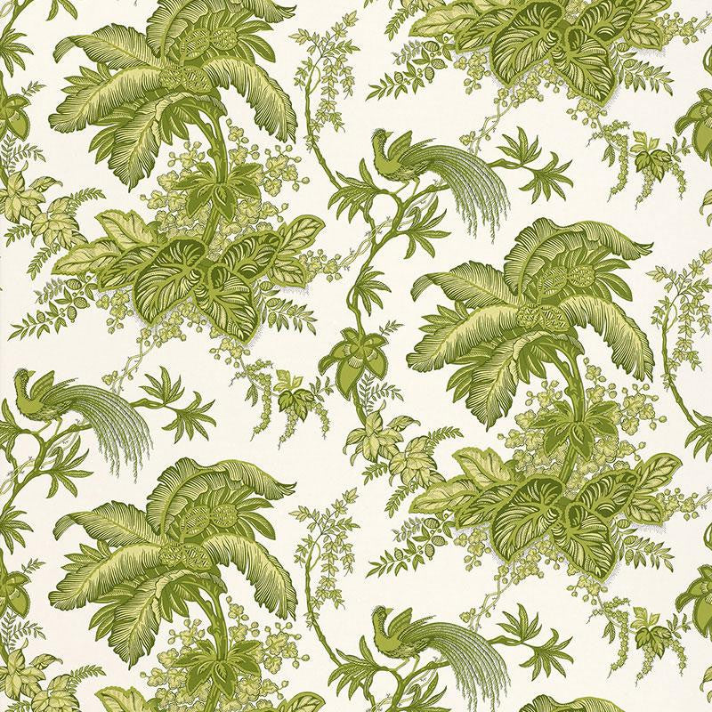 Coconut Grove Leaf 5004053 by Schumacher Wallpaper Classic Prints 13.5" - Fabric Carolina -