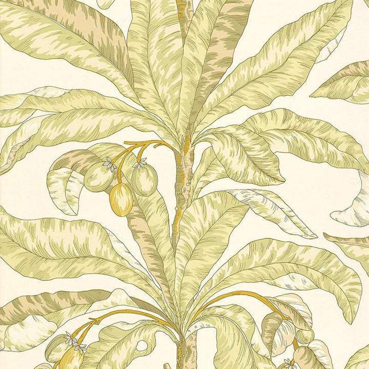 Blair House Palm Kiwi 5004062 by Schumacher Wallpaper Tropicana 27.0" - Fabric Carolina -