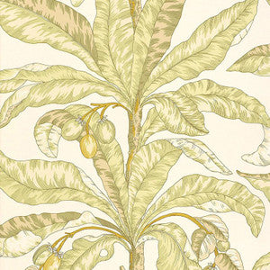 Blair House Palm Kiwi 5004062 by Schumacher Wallpaper