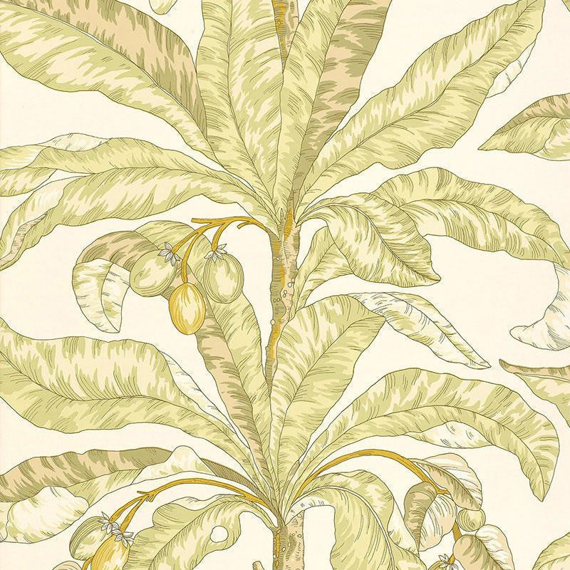 Blair House Palm Kiwi 5004062 by Schumacher Designer Wallpaper Tropicana 27.0" - Swanky Fabrics -