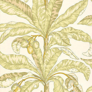 Blair House Palm Kiwi 5004062 by Schumacher Wallpaper