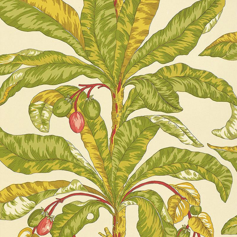 Blair House Palm Tropical 5004063 by Schumacher Wallpaper Tropicana 27.0" - Fabric Carolina -