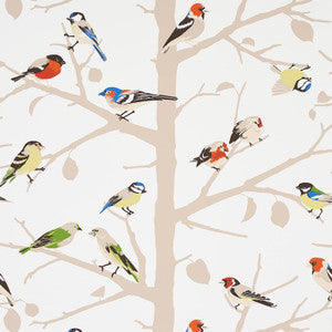 A-Twitter Summer 5005031 by Schumacher Wallpaper