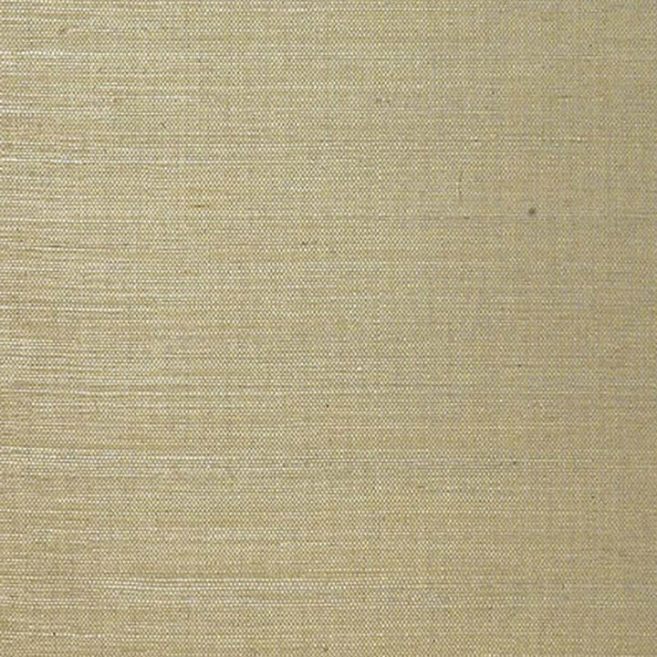 Linyi Ground Mist 5003592 by Schumacher Wallpaper Atelier - Fabric Carolina -
