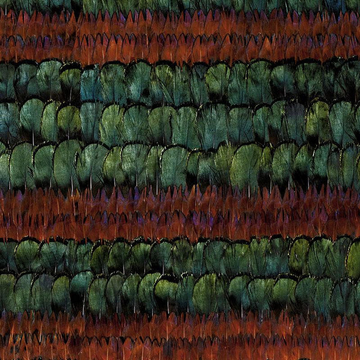 Grand Isle Peacock & Pheasant 5003890 by Schumacher Wallpaper Nest - Fabric Carolina -