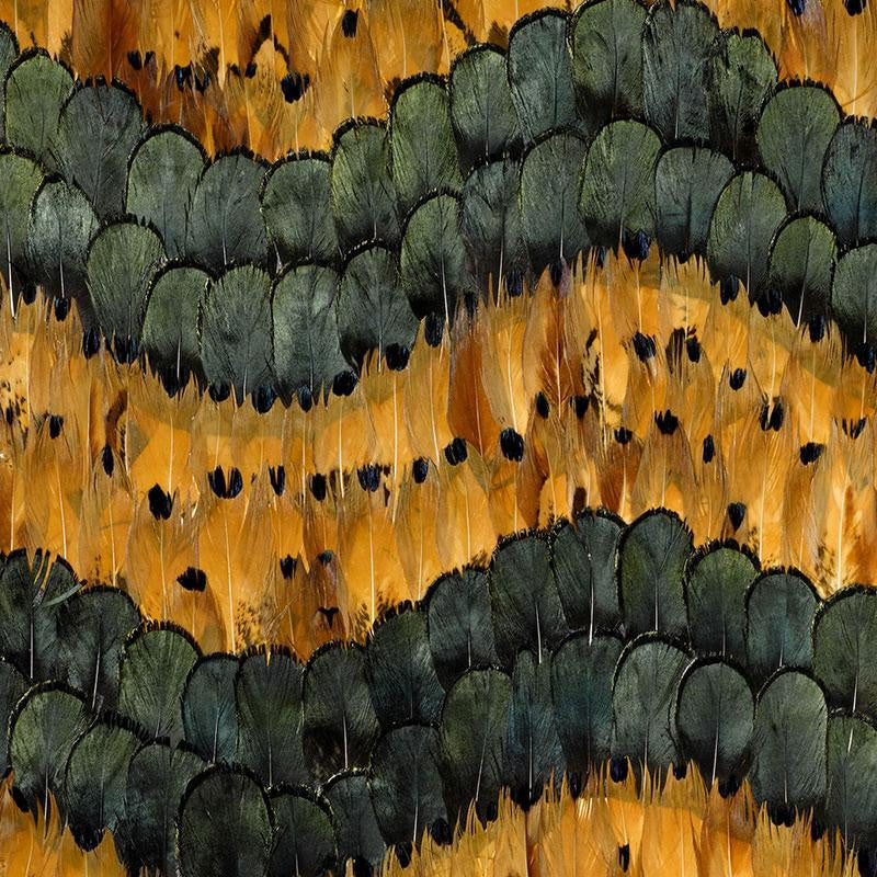 Golden Hill Citrine 5003990 by Schumacher Wallpaper Nest - Fabric Carolina -