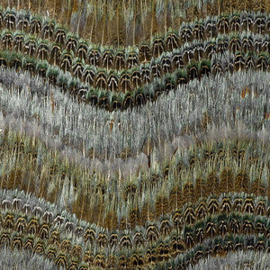 Clearwater Blue Heron 5004020 by Schumacher Wallpaper