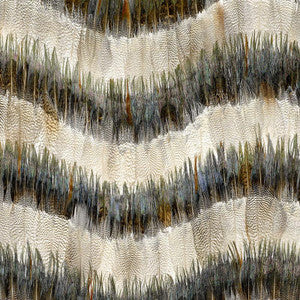 Belle Isle Birch 5004030 by Schumacher Wallpaper