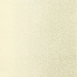 Celano Vine Mineral 5004443 by Schumacher Wallpaper
