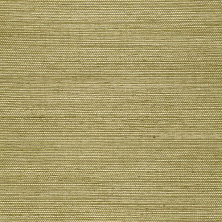 Haruki Sisal Olive 5004709 by Schumacher Wallpaper Essential - Fabric Carolina -