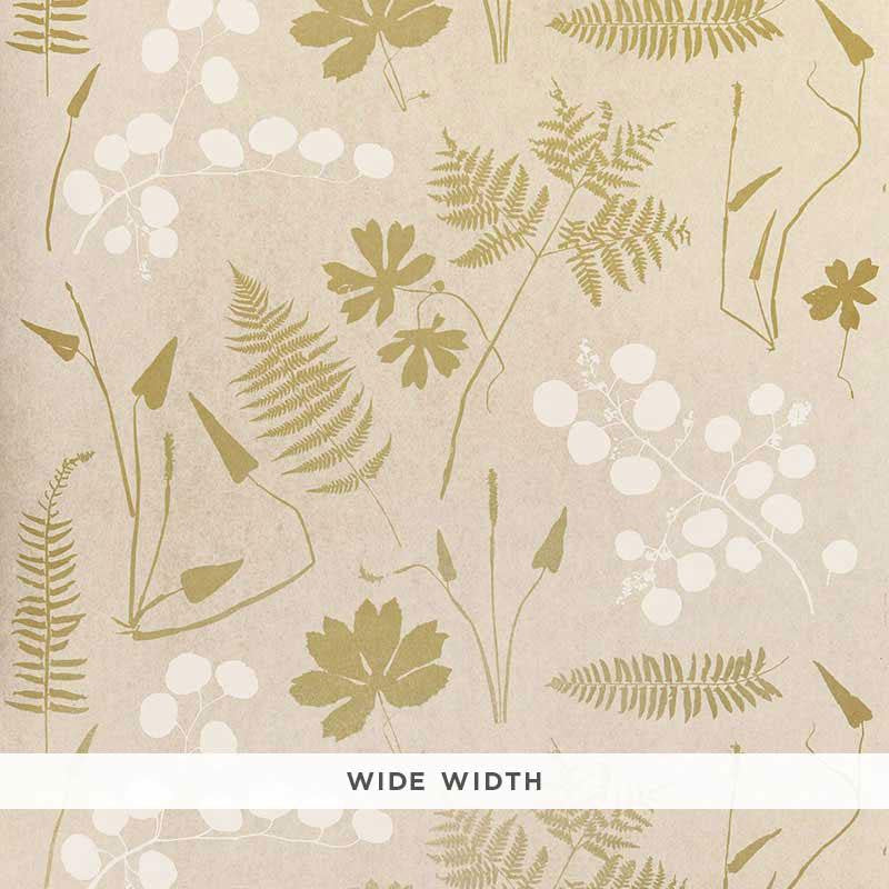 Modern Botanical Parchment 5005010 by Schumacher Designer Wallpaper Modern Nature 46.75" - Swanky Fabrics -