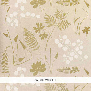 Modern Botanical Parchment 5005010 by Schumacher Wallpaper