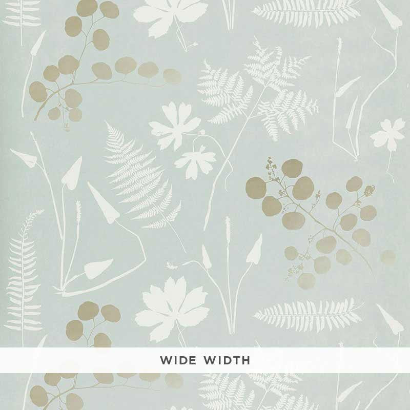 Modern Botanical Slate 5005011 by Schumacher Designer Wallpaper Modern Nature 46.75" - Swanky Fabrics -