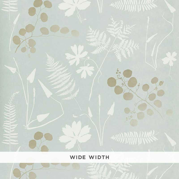 Modern Botanical Slate 5005011 by Schumacher Wallpaper Modern Nature 46.75" - Fabric Carolina -