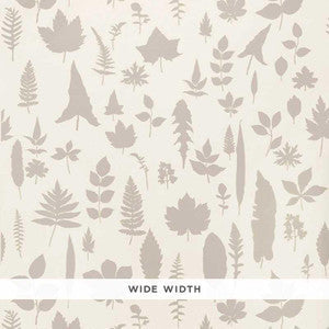 Leaves Platinum 5005020 by Schumacher Wallpaper