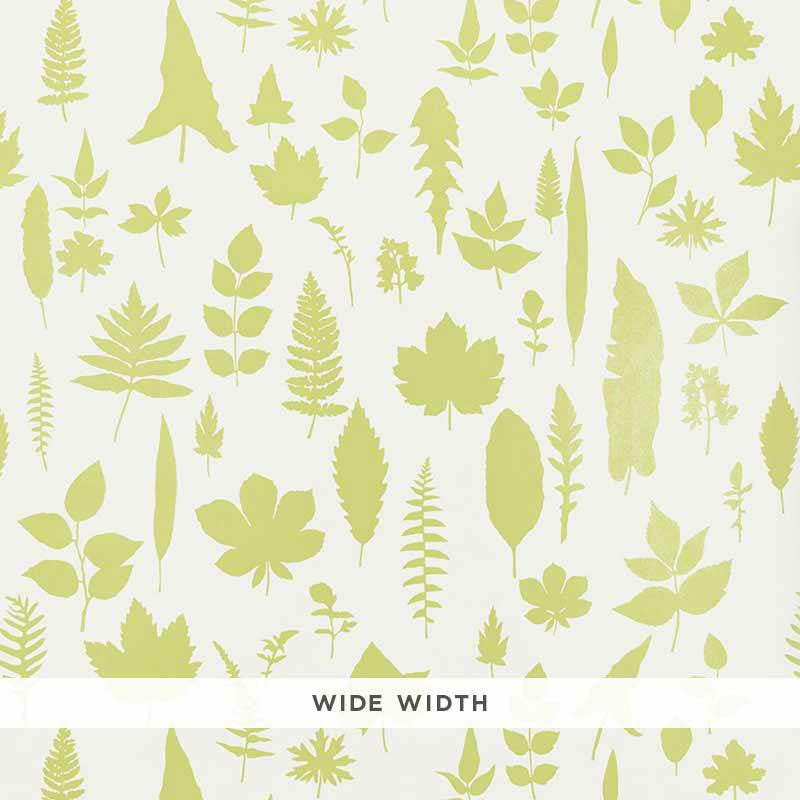 Leaves Chartreuse 5005021 by Schumacher Wallpaper Modern Nature 54.0" - Fabric Carolina -