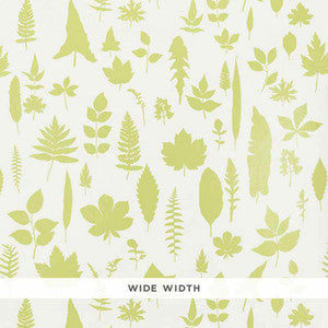 Leaves Chartreuse 5005021 by Schumacher Wallpaper