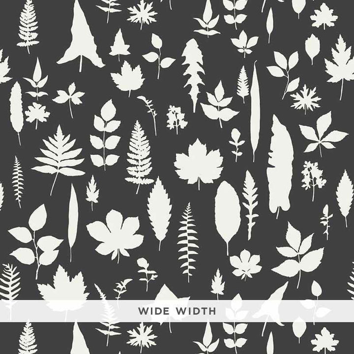 Leaves Graphite 5005023 by Schumacher Wallpaper Modern Nature 54.0" - Fabric Carolina -