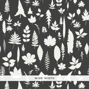 Leaves Graphite 5005023 by Schumacher Wallpaper