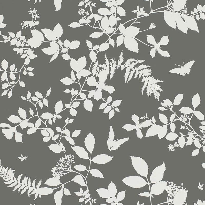 Shadow Vine Charcoal 5005103 by Schumacher Wallpaper Modern Nature 27.0" - Fabric Carolina -