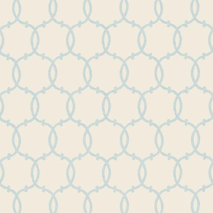 Tracery Sky 5005120 by Schumacher Wallpaper Modern Nature 9.0" - Fabric Carolina -