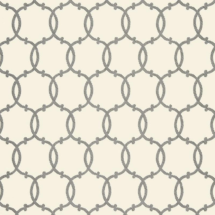 Tracery Charcoal 5005121 by Schumacher Wallpaper Modern Nature 9.0" - Fabric Carolina -