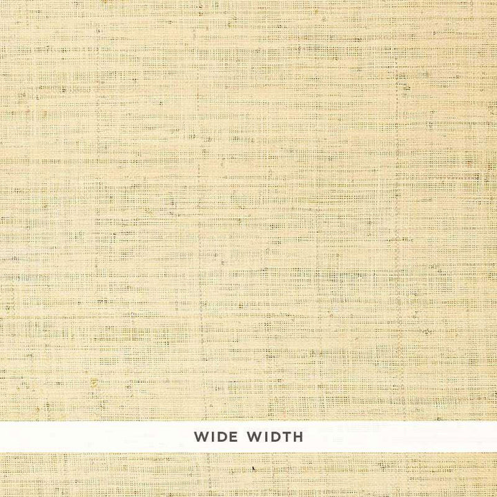 Bellezza Ground Whitewash 528945 by Schumacher Wallpaper Quiet Beauty - Fabric Carolina -