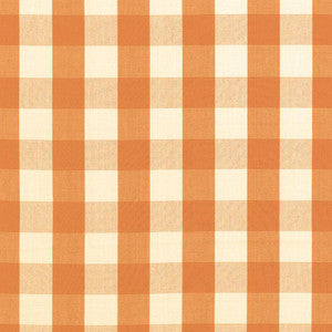 Camden Cotton Check Pumpkin 63033 by Schumacher Fabric