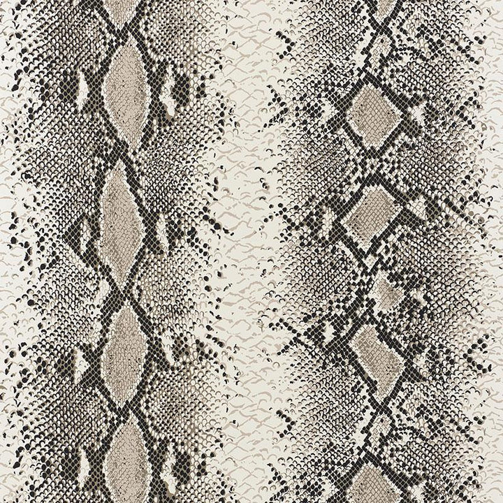 Snake Charmer Cinder 5008180 by Schumacher Wallpaper Animal Prints & Wovens 27.0" - Fabric Carolina -