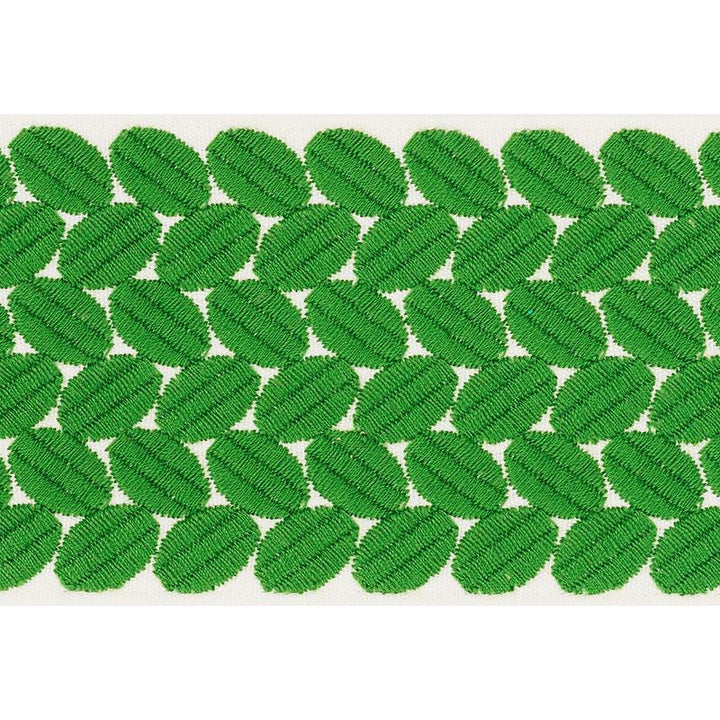 Berkeley Tape Wide Leaf 70655 by Schumacher Designer Trim Happy Together Ii 1.0" - Swanky Fabrics -