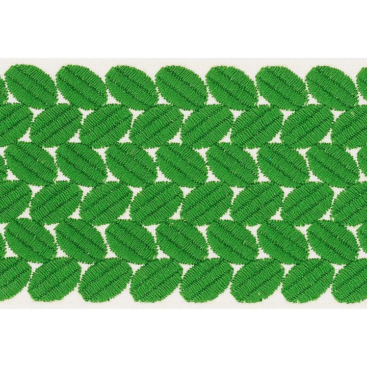 Berkeley Tape Wide Leaf 70655 by Schumacher Trim Happy Together Ii 1.0" - Fabric Carolina -