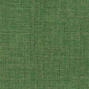 Auden Chenille Emerald 69066 by Schumacher Fabric