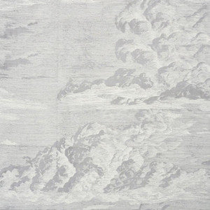 Cloud Toile Fog 177002 by Schumacher Fabric