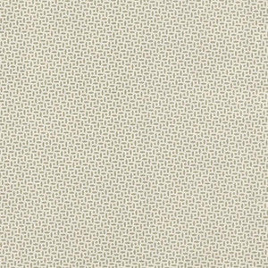 Berrydown Sage BERR006 by Schumacher Fabric