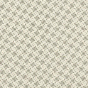 Berrydown Sage BERR006 by Schumacher Fabric