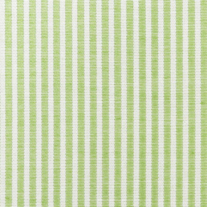 Easton Stripe Indoor/Outdoor Leaf 73151 by Schumacher Fabric Indoor/Outdoor: Prints & Wovens - Fabric Carolina -