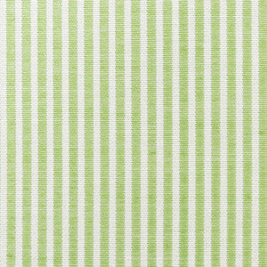 Easton Stripe Indoor/Outdoor Leaf 73151 by Schumacher Fabric