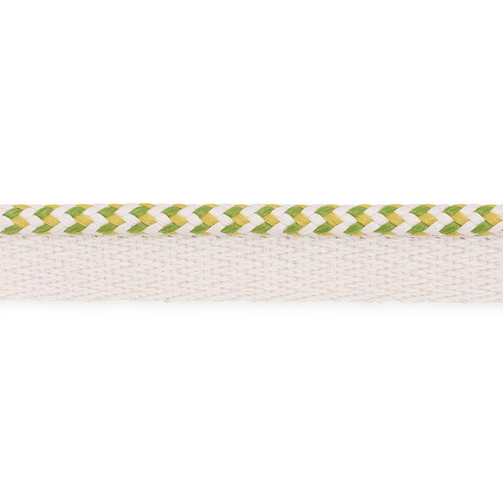 Bolander Cord Indoor/Outdoor Leaf 73475 by Schumacher Trim Indoor/Outdoor: Prints & Wovens - Fabric Carolina -