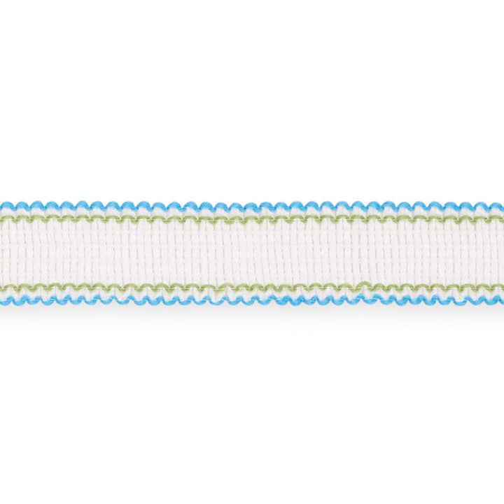 Filippa Tape Indoor/Outdoor Aqua 73571 by Schumacher Trim Isola Indoor/Outdoor - Fabric Carolina -