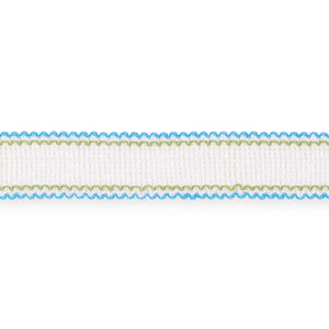 Filippa Tape Indoor/Outdoor Aqua 73571 by Schumacher Trim
