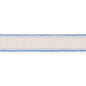 Filippa Tape Indoor/Outdoor Delft 73574 by Schumacher Trim