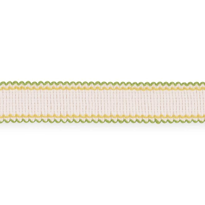 Filippa Tape Indoor/Outdoor Leaf 73575 by Schumacher Trim Isola Indoor/Outdoor - Fabric Carolina -