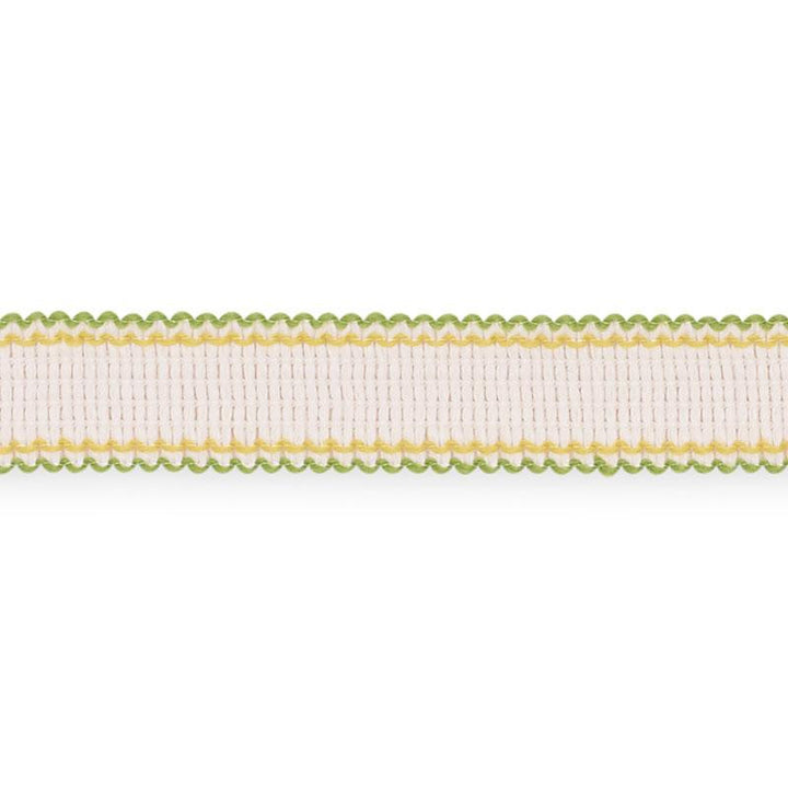 Filippa Tape Indoor/Outdoor Leaf 73575 by Schumacher Trim Isola Indoor/Outdoor - Fabric Carolina -