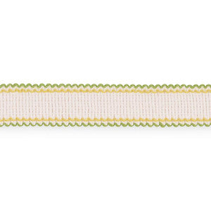 Filippa Tape Indoor/Outdoor Leaf 73575 by Schumacher Trim