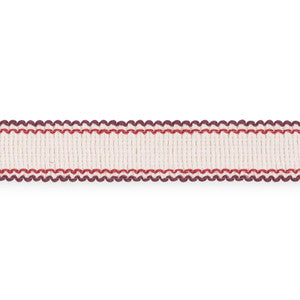 Filippa Tape Indoor/Outdoor Berry 73576 by Schumacher Trim