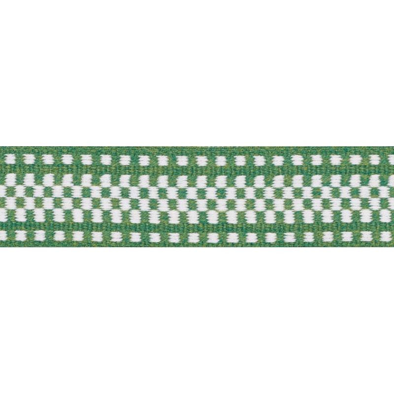 Marta Tape Indoor/Outdoor Green 73655 by Schumacher Trim Indoor/Outdoor: Prints & Wovens - Fabric Carolina -